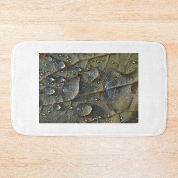 Item preview, Autumn leaf after rain. designed and sold by Rob-Turner.