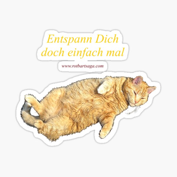 Ship Cat Sayings 2 Sticker
