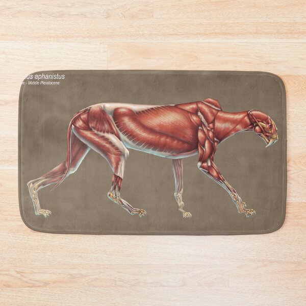 Item preview, Machairodus Aphanistus Muscle Study (No Labels) designed and sold by Thedragonofdoom.