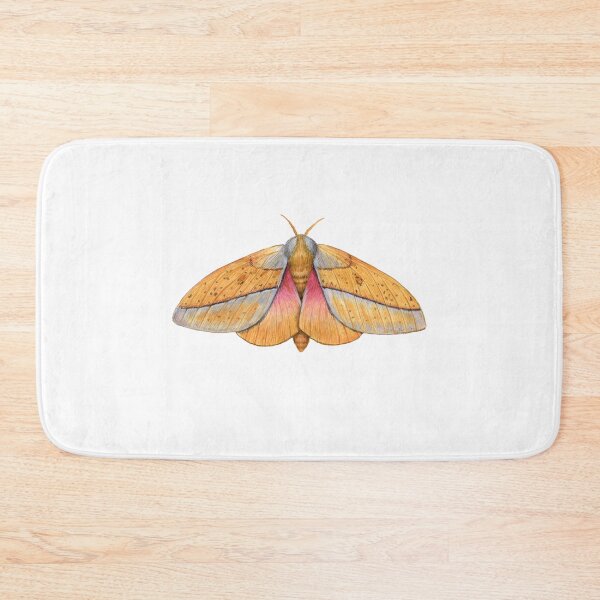 Item preview, Bisected Honey Locust Moth (Sphingicampa bisecta). designed and sold by JadaFitch.