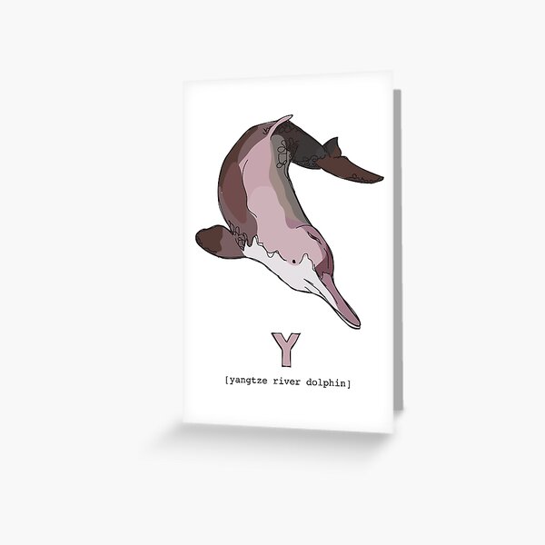 Funky Animal Alphabet: Y is for Yangtze River Dolphin Greeting Card