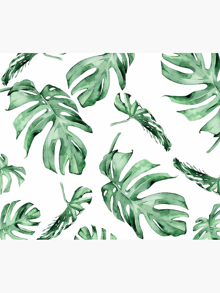 Monstera Pattern Green by Wheimay
