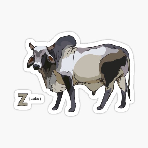 Funky Animal Alphabet: Z is for Zebu Sticker