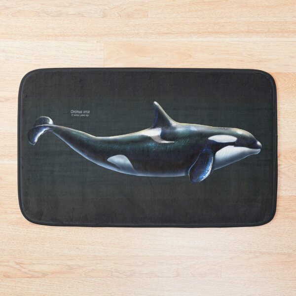Item preview, Orcinus Orca Restored designed and sold by Thedragonofdoom.