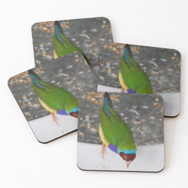 Item preview, Gouldian Finch designed and sold by Martina Nicolls.
