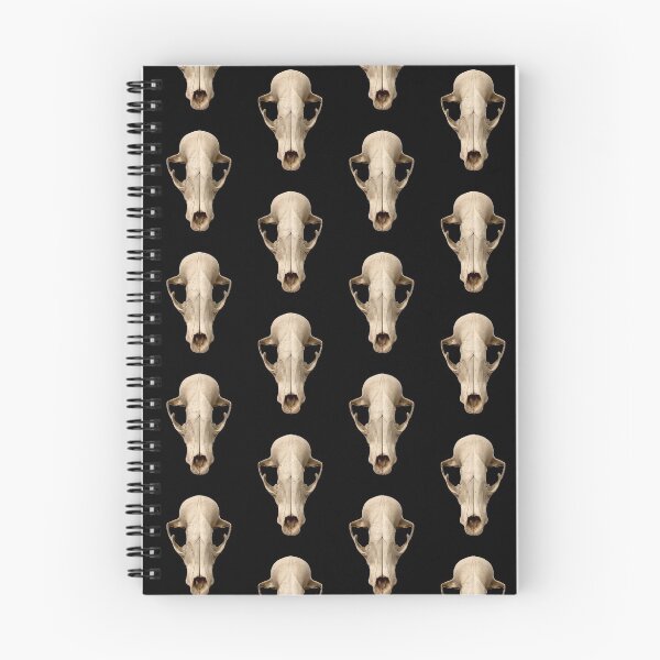 Item preview, Raccoon Skull designed and sold by Vyscera C.