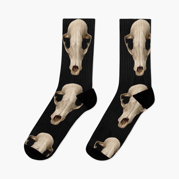 Item preview, Raccoon Skull designed and sold by Vyscera C.