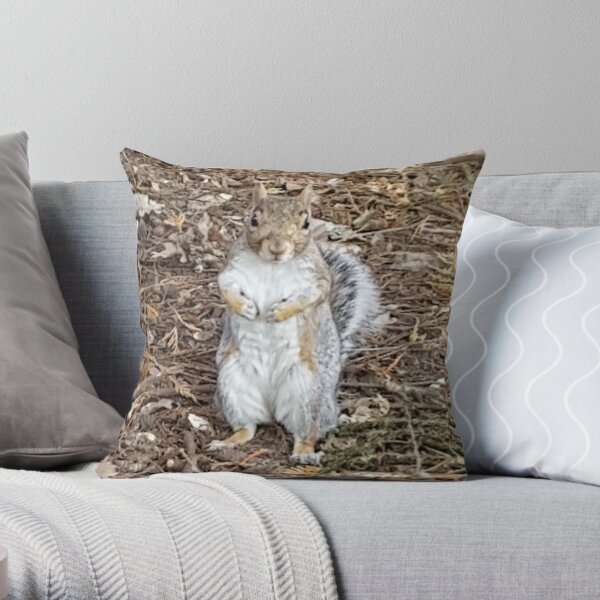 Cute Gray Squirrel Throw Pillow