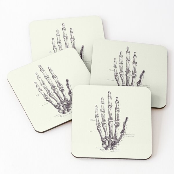 Item preview, Hand Skeletal Diagram - Vintage Anatomy Poster 2 designed and sold by VAposters.