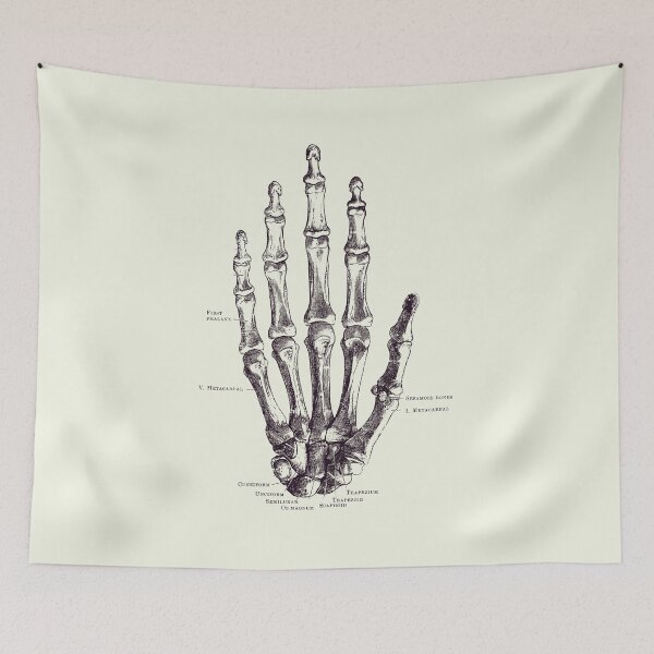 Item preview, Hand Skeletal Diagram - Vintage Anatomy Poster 2 designed and sold by VAposters.