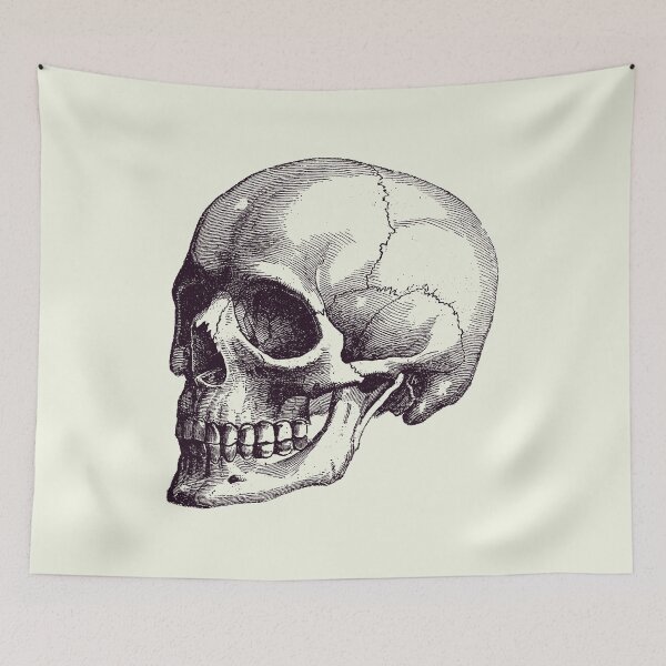 Item preview, Human Skull - Vintage Anatomy Poster 2 designed and sold by VAposters.