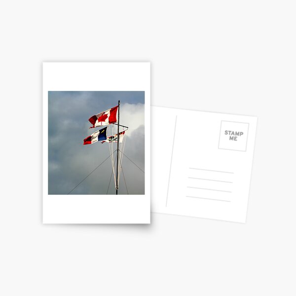 Flags in the Wind Postcard
