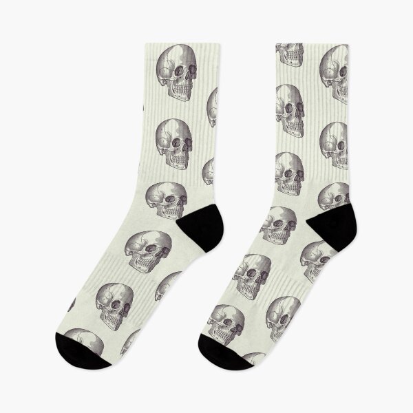Item preview, Human Skull Diagram - Vintage Anatomy Print 2 designed and sold by VAposters.