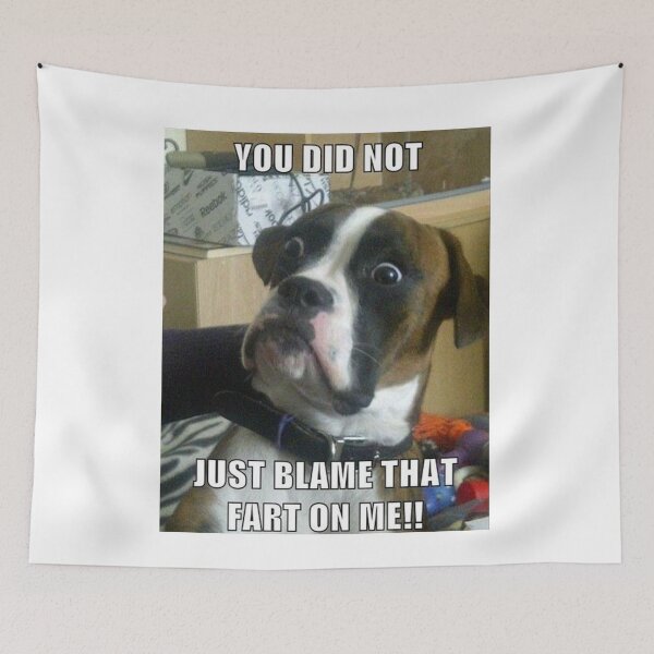 Item preview, You did not just blame that fart on me - Funny dog meme designed and sold by MindChirp.