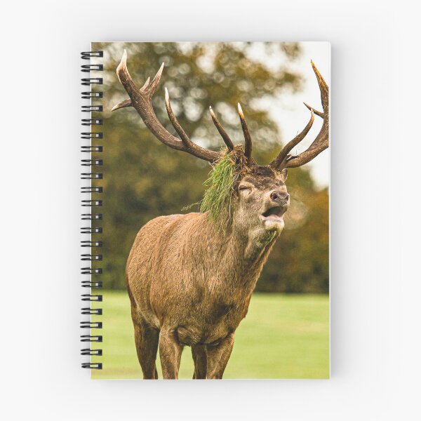 Item preview, The winner deer designed and sold by wolfgangrainer.