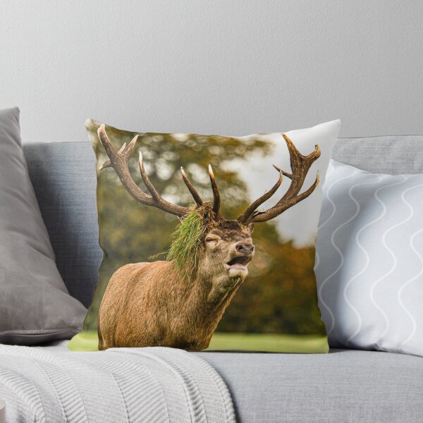 Item preview, The winner deer designed and sold by wolfgangrainer.