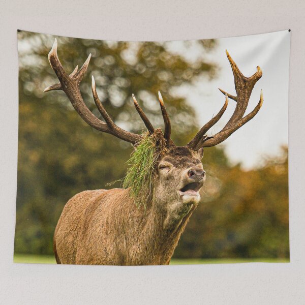 Item preview, The winner deer designed and sold by wolfgangrainer.