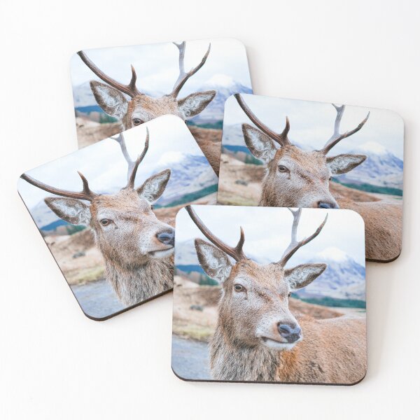 Item preview, Deer on street designed and sold by wolfgangrainer.