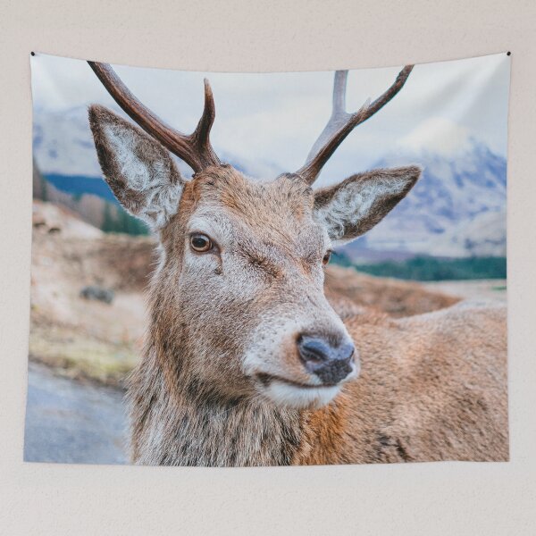 Item preview, Deer on street designed and sold by wolfgangrainer.