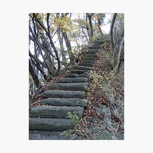 Item preview, Stairway to Nowhere in a Japanese garden designed and sold by cuisinecat2.