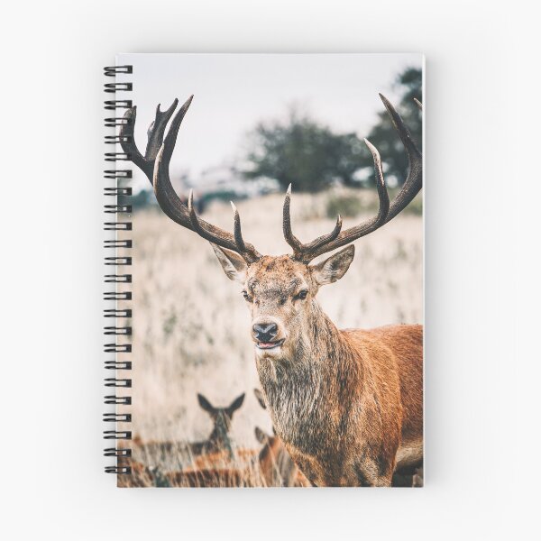 Item preview, The proud deer designed and sold by wolfgangrainer.