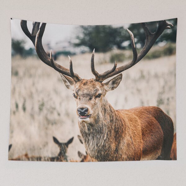 Item preview, The proud deer designed and sold by wolfgangrainer.