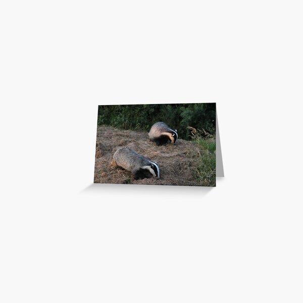 Double trouble Greeting Card
