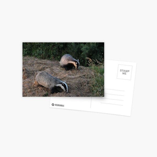 Double trouble Postcard