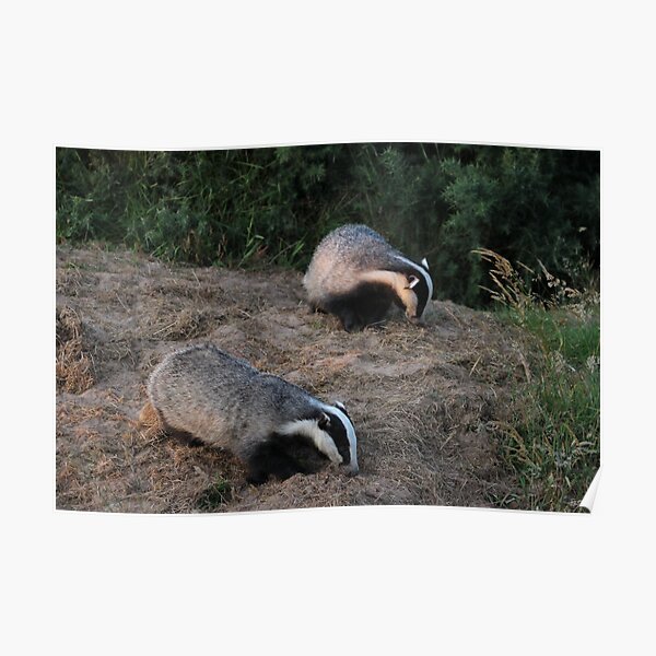 Double trouble Poster