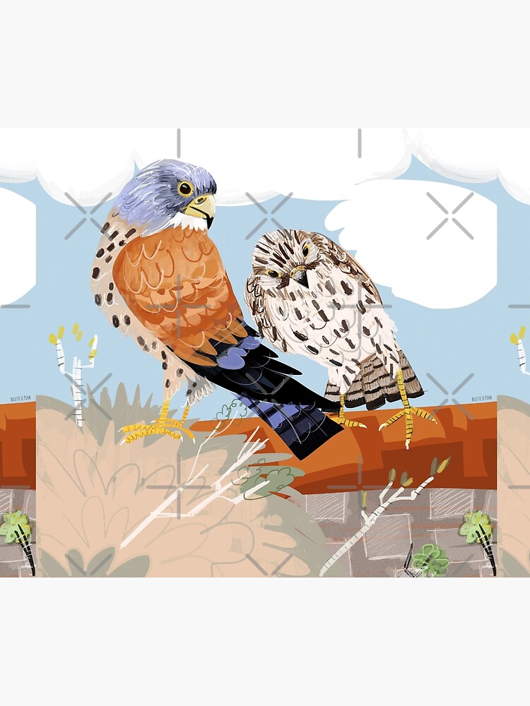 Lesser kestrel by belettelepink