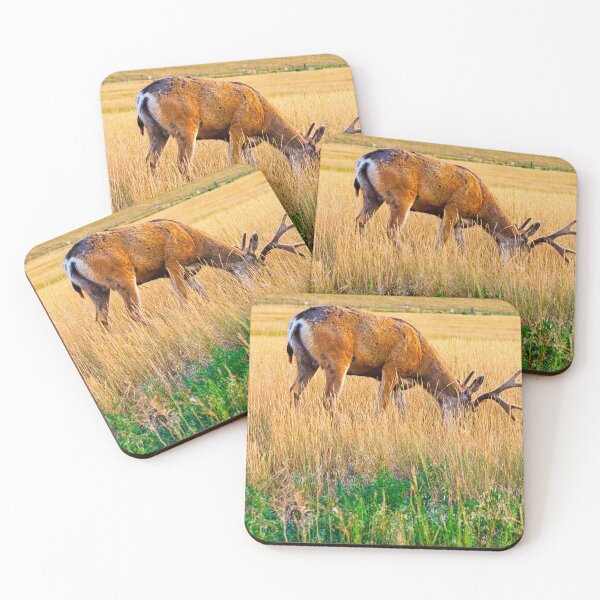 Item preview, Whitetail Buck designed and sold by JRRouse.