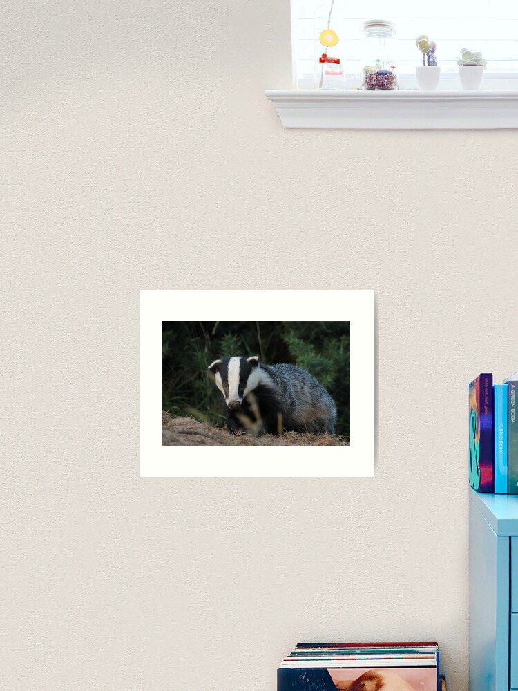 Thumbnail 2 of 3, Art Print, Badger designed and sold by orcadia.