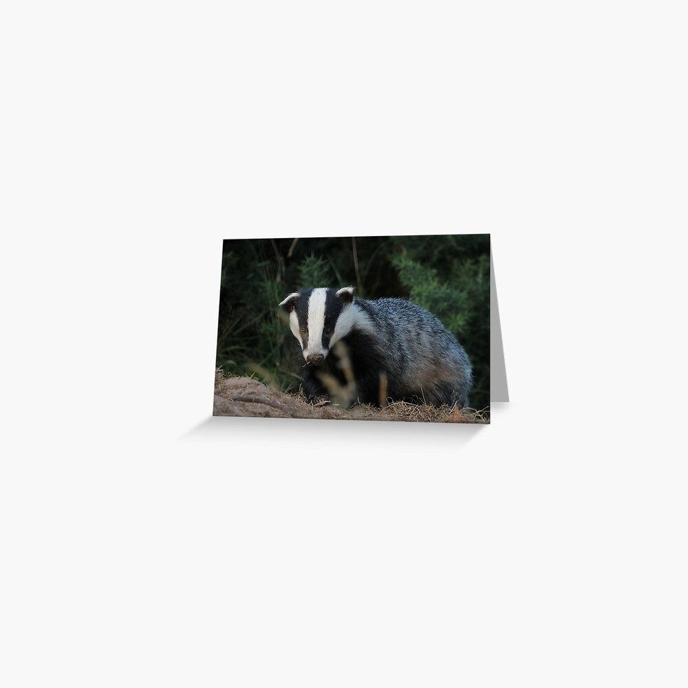 Item preview, Greeting Card designed and sold by orcadia.
