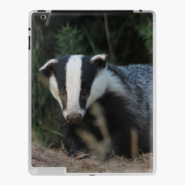 Badger iPad Skin