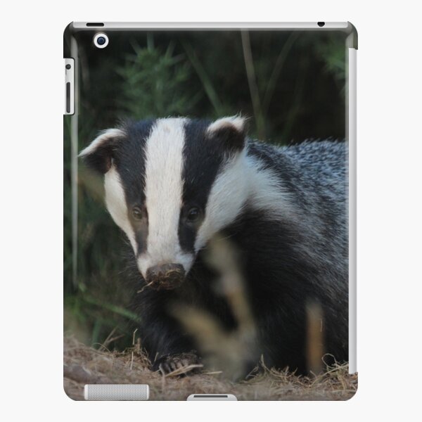Badger iPad Snap Case