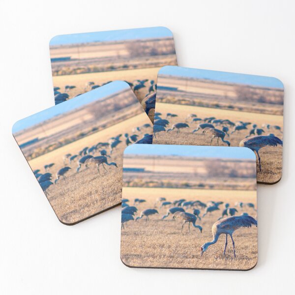 Item preview, Sandhill Cranes designed and sold by JRRouse.