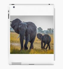In Synch iPad Case/Skin