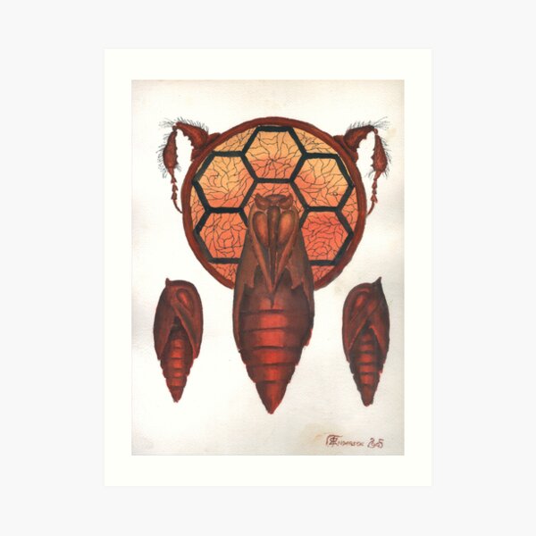Chrysalis Art Print