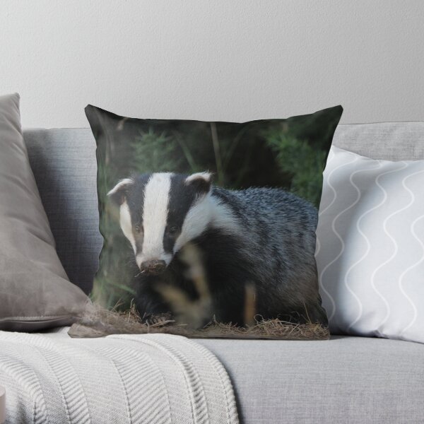 Badger Throw Pillow