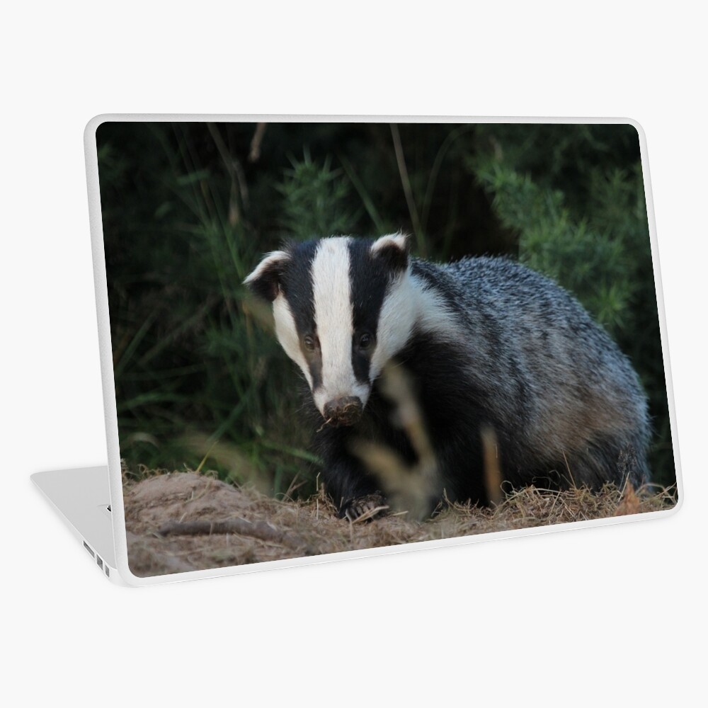 Badger Laptop Skin
