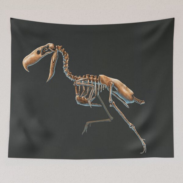 Item preview, Kelenken Guillermoi Skeleton Study (No Labels) designed and sold by Thedragonofdoom.