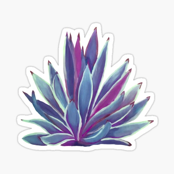 Blue Agave Sticker