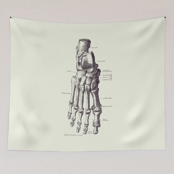 Item preview, Right Foot Skeletal Diagram - Vintage Anatomy 2 designed and sold by VAposters.
