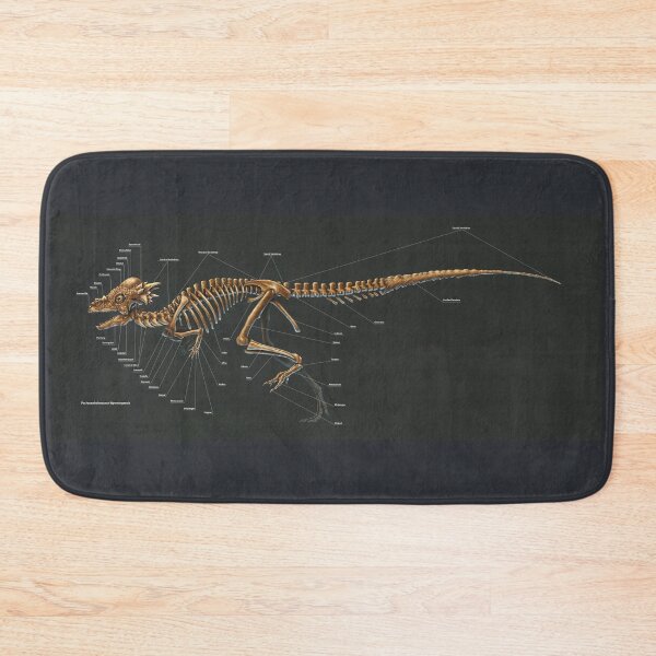 Item preview, Pachycephalosaurus Wyomingensis Study designed and sold by Thedragonofdoom.