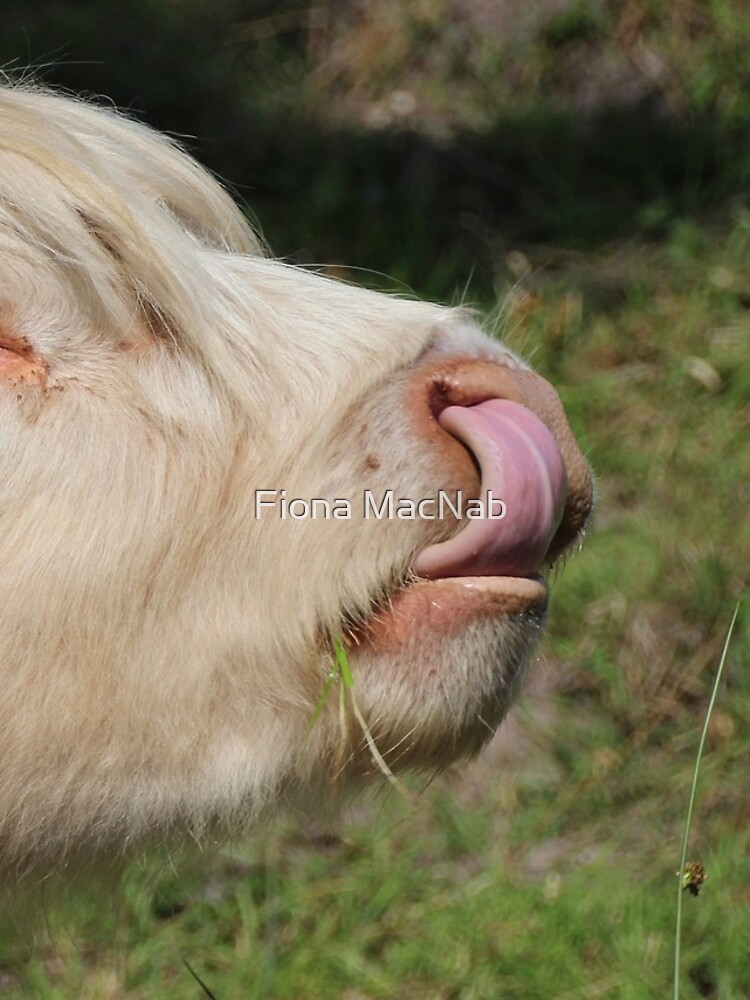 Lick by orcadia