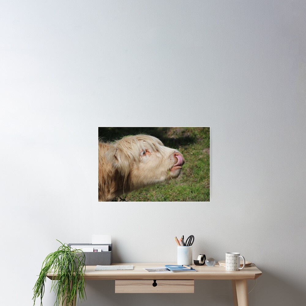 Lick Poster