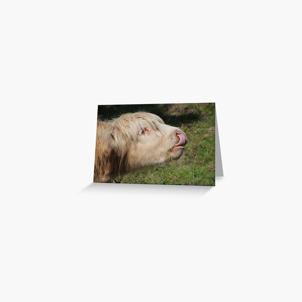 Lick Greeting Card