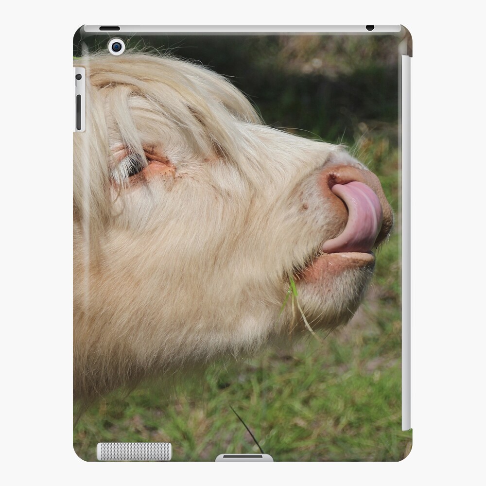 Lick iPad Case & Skin