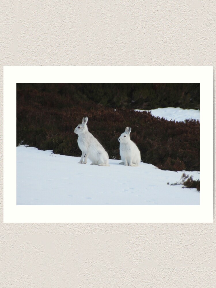 Alternate view of Winter coats Art Print