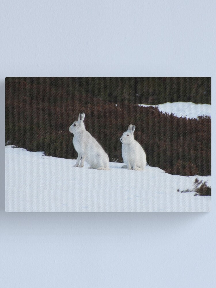 Alternate view of Winter coats Canvas Print
